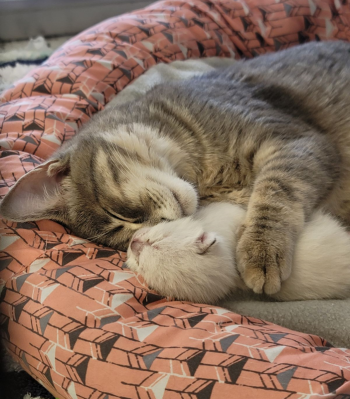 Mama love. Courtesy of Jess Townsend