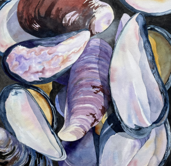 "Mussels in the Sun," by Molly Mugler. Courtesy of Maine Art Gallery of Wiscasset