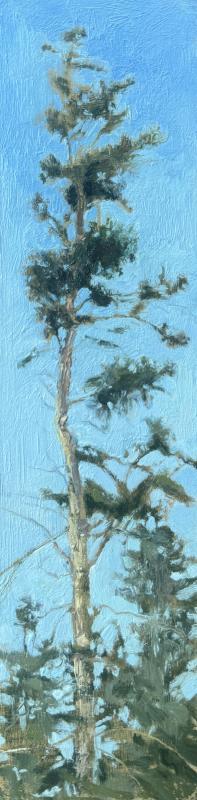 “Skyward" - Crista Pisano.