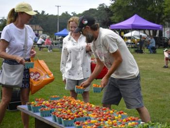 Jeffrey Knox, owner of Dharma Farms, restocks tomatoes for eager shoppers. ISABELLE CURTIS/Boothbay Register