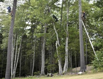 Workers from High 5 Adventure Learning Center install course elements. FRITZ FREUDENBERGER/Boothbay Register