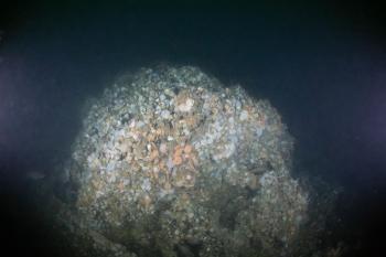 One of ST Seiner's boilers. Courtesy of Andrew Donn One of ST Seiner's boilers. Courtesy of Andrew Donn