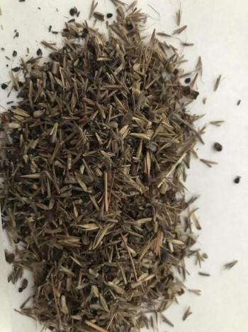 Butterfly and hummingbird garden seed mix. Courtesy photo