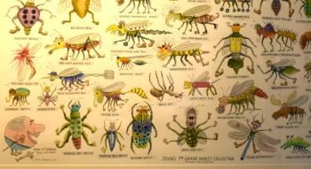 Close up of John Otterbein's "John's Insect Collection," ARTinME second place winner.