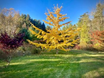 Photo by Robert Mitchell