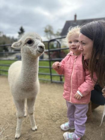 Come to Open Farm Day at Cape Newagen Farm on Saturday, Nov. 15 between 10 a.m. and 2 p.m. Courtesy photo