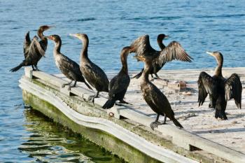 Photo by Robert Mitchell