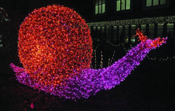 Gardens Aglow. STEVE EDWARDS/Boothbay Register