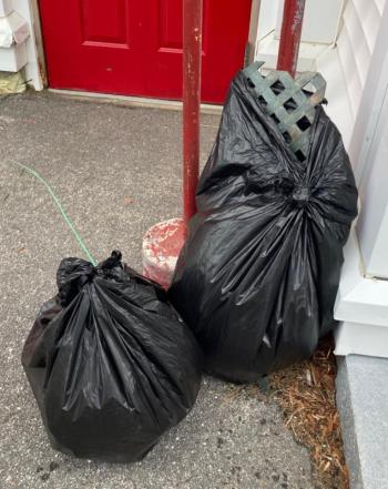 The final haul. Courtesy Emily Higgins. 