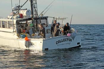 Tuna fishing. STEVE EDWARDS/Boothbay Register