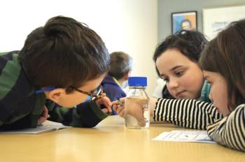 BHML's STEM club members observe adult sea monkeys. ISABELLE CURTIS/Boothbay Register