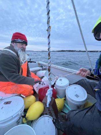 Planting seaweed droplines with Ken Sparta on Spartan Sea Farms in Casco Bay. Courtesy photo