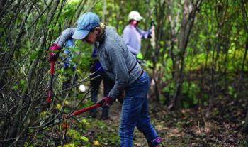 Coastal Rivers’ “Trail Tamers” volunteers use loppers to trim a trail at Salt Bay Farm Preserve. Photo by Kris Christine