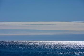 Photo by Robert Mitchell