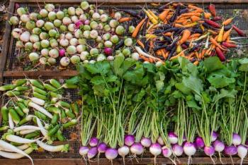 Veggies to Table vegetables. Kelsey Kobik photo