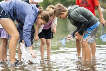 Camp Mummichog campers explore along the shore of Great Salt Bay. Courtesy of Coastal Rivers