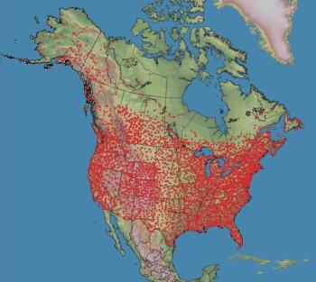 A map showing the start locations of all Breeding Bird Survey routes across the U.S. and Canada. Image courtesy of USGS Eastern Ecological Science Center.