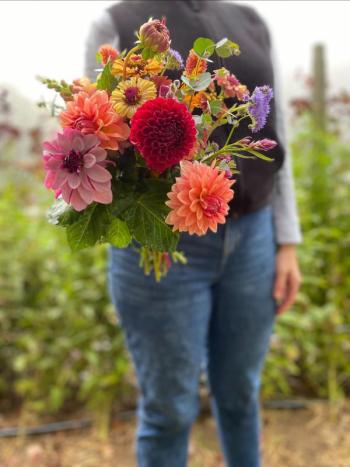 Dahlias. Erica Berman photo