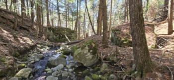 Glacial erratics at Herbie Hill. (FMI: Erratics can be large boulders or rocks, that have been deposited far from their source as ice melted, providing clear evidence of past glaciation. You can generally identify these as the rock type of the erratic differs from the surrounding bedrock. Often, these are large, isolated, and angular boulders that appear "out of place" in the landscape.) Morganne Price photo