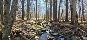 A stream running through the new conservation easement at Herbie Hill. Morganne Price photo