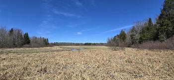 A view of the special habitat. Morganne Price photo
