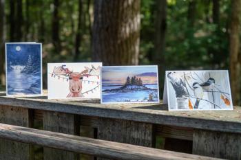 Photo courtesy of Pine Tree Society