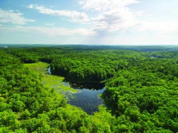 At 500 acres, Hart Woods represents one of the largest connected blocks of forest on this part of the Maine Coast. Photo by Bo Calais