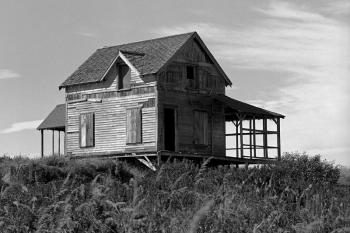 Photo by Robert Mitchell