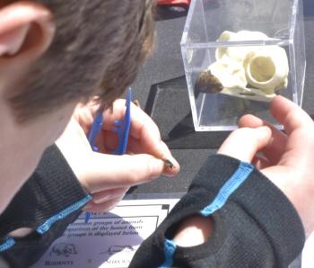 LISA KRISTOFF/Boothbay Register