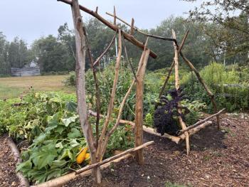 The school's community garden is open for anyone to harvest and enjoy. Courtesy of Shawn Gallagher. 