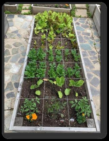 Square Foot Gardening