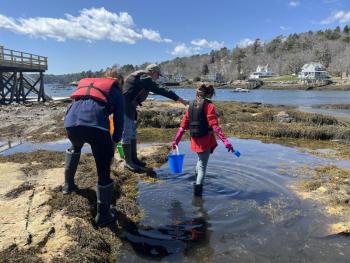 Enjoy the "Tide Pool Adventures" in East Boothbay April 22. Bethany Schmidt photo