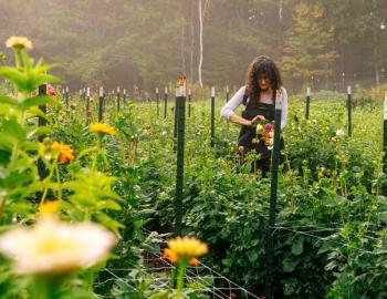 Picking flowers at Veggies to Table. Courtesy photo
