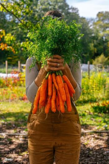 Yes, Veggies to Table grows carrots! Courtesy photo