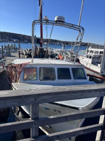 J BUG fully recovered. Courtesy photo