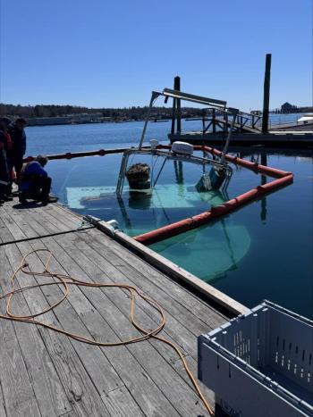 Jennie Mitchell Plummer photo