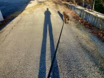 Photo by Robert Mitchell