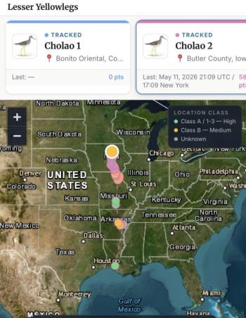 This is the migration route of Cholao 2, a lesser yellowlegs originally tagged by Audubon researchers near Cali, Colombia, that has been making its way northward across the U.S. since late April.