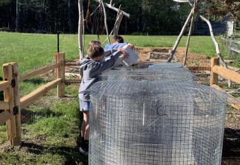 The first scraps enter the compost bins. ISABELLE CURTIS/Boothbay Register