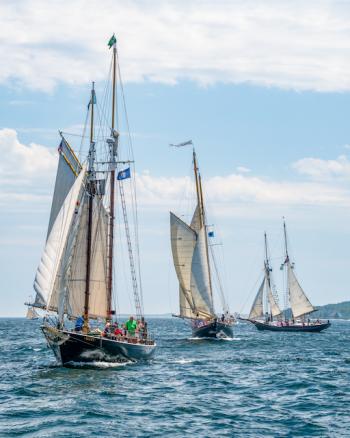 Courtesy of Friends of Windjammer Days
