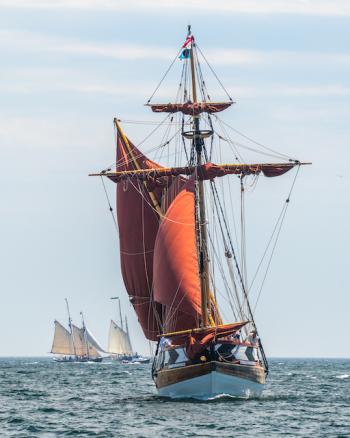 The 64th Boothbay Harbor Windjammer Days sails in Sunday, June 21 through Saturday, June 27. Don't miss it! Courtesy of Friends of Windjammer Days