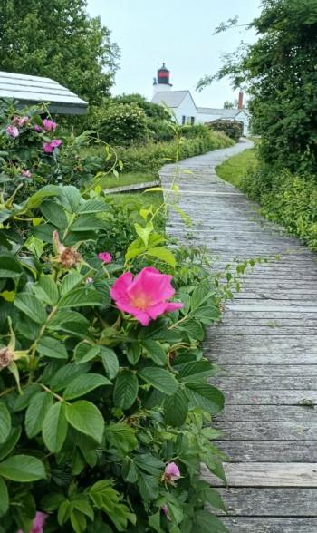 Boardwalk at Burnt Island. Courtesy photo