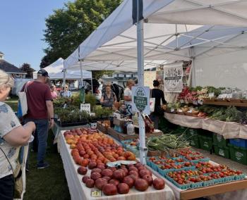 The display of vegetables and more at Goranson Farm's tent at the Boothbay Farmers' Market. EMMA BENVENUTO/Boothbay Register