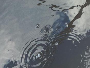 "Puddle" is among the photographs in Jannetta Jennings' August show. Courtesy of Bremen Library
