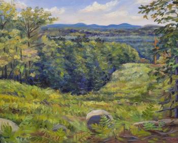 Cassie Sano, “View from Joe’s Trail” in the Maine Art Gallery’s current plein air show.