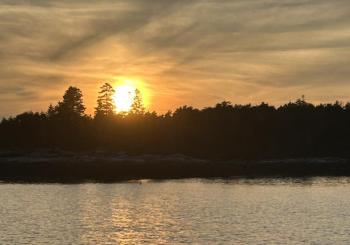 Sunlight through the trees. KEVIN BURNHAM/Boothbay Register