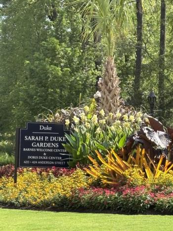 The Sarah P. Duke Gardens at Duke University in Durham, North Carolina provides a popular respite for visitors from around the world and, according to eBird, 148 bird species have been recorded there. Courtesy of Allison Wells