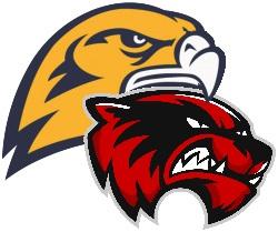BRHS-WMHS logo