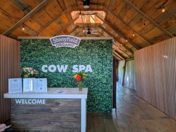 Cow Spa