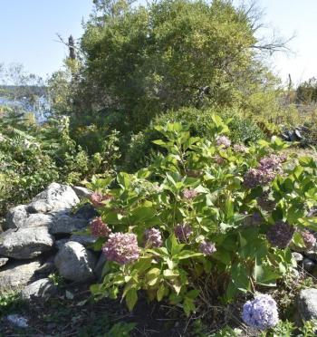  LISA KRISTOFF/Boothbay Register